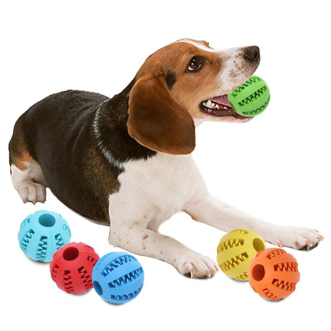 Dog Toys