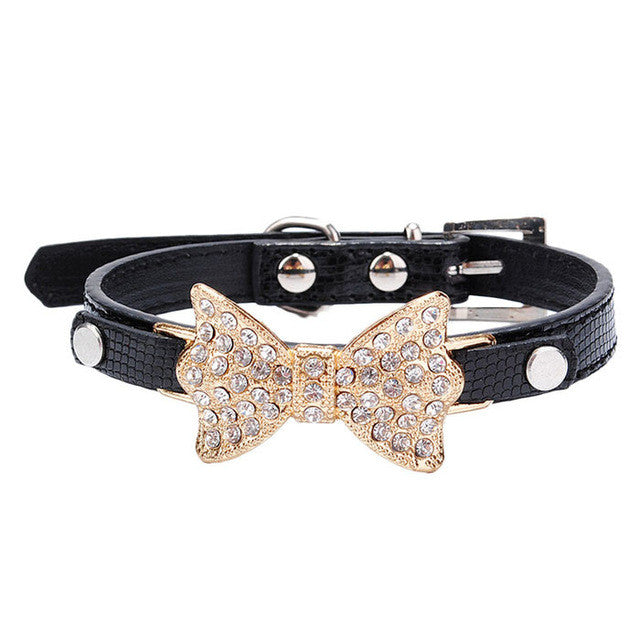 Elegant Collar For Pets