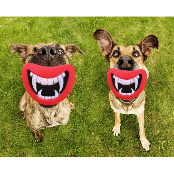 Durable Funny Toys For Dogs