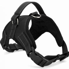 Dog  Harness Leash Set