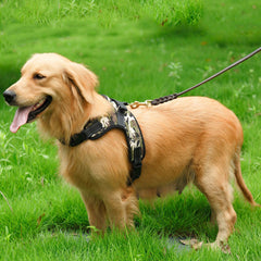 Dog  Harness Leash Set