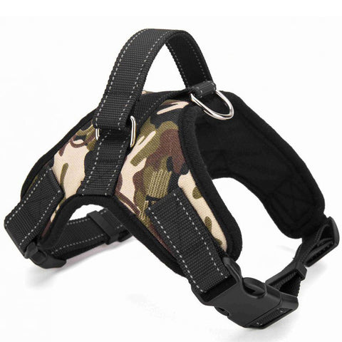 Dog  Harness Leash Set