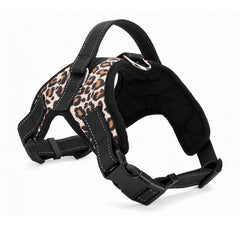 Dog  Harness Leash Set