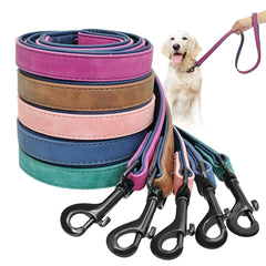 Dog Leash