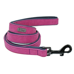 Dog Leash