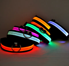 Illumiseen LED Dog Collar