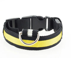 Illumiseen LED Dog Collar