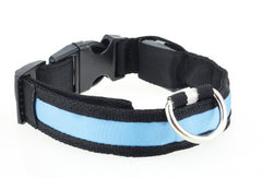 Illumiseen LED Dog Collar