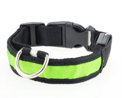 Illumiseen LED Dog Collar