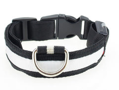 Illumiseen LED Dog Collar