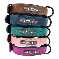 Custom dog collars