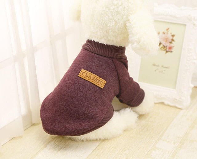 Classic Clothes For Small Dogs